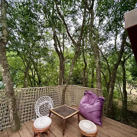 Luxury tent Tente Lotus